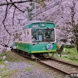 想留住春天，也想留住你