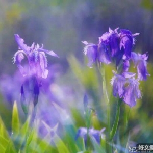 人生本过客，何须千千结
