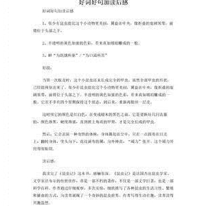 天马行空好词好句