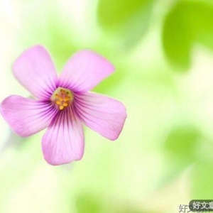 幸福，就是简简单单