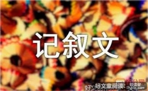 初2记叙文600字写事(通用10篇)