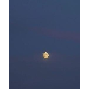 可以的句子