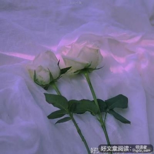 有关六爻的句子