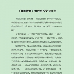什么给我的爱作文450800字