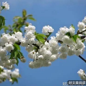 最幸运的职场人