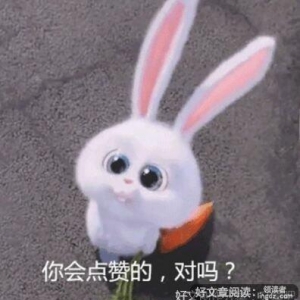我有你优美的句子