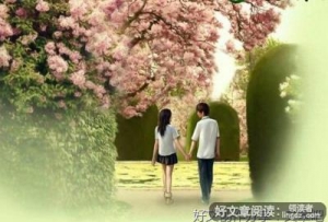 情感的句子