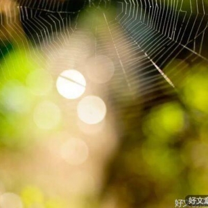 安静，是治愈一切的良方