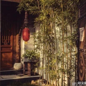 院子，才是最大的奢侈