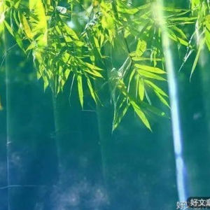这个夏天，如你所愿！