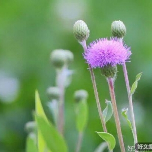 孤独，是最好的增值期