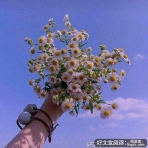 网易云优美的句子