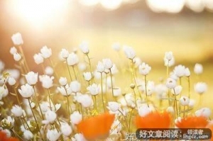 存在经典的句子