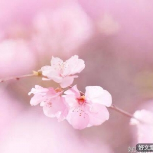 生活越过越好的5个迹象
