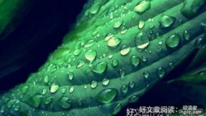 人生的足迹句子