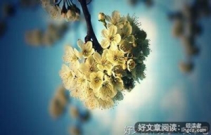 关于集大成者的优美句子