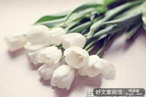 心境句子