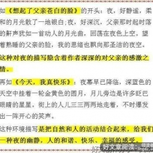 描写环境渲染的作文100字