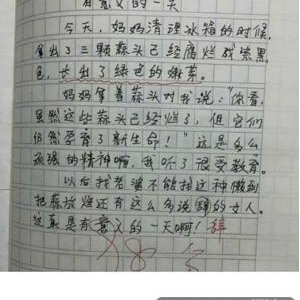 关于妈妈最辛苦的一篇作文