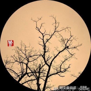 《阑珊集》的句子