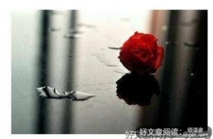感情经典的句子