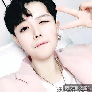 关于狗的自述的作文乐乐课堂10篇