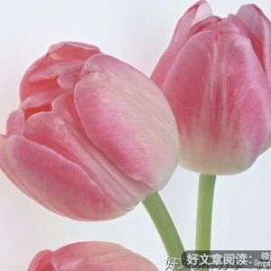有关因为有你的句子