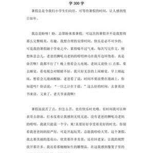 作文暑假生活300