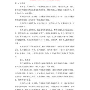 描写杜鹃花的作文200字