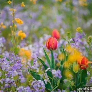 永远别中了情绪的毒（深刻）