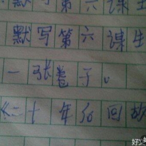 200字作文20年后回家乡