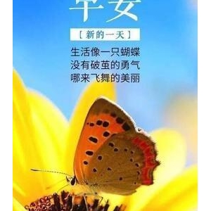 有关自我激励的句子