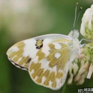 记得，给生活加点糖