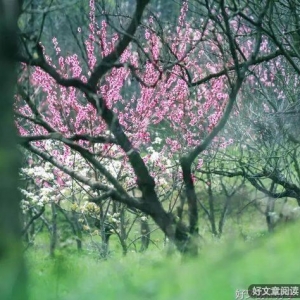 平安知足，就是幸福