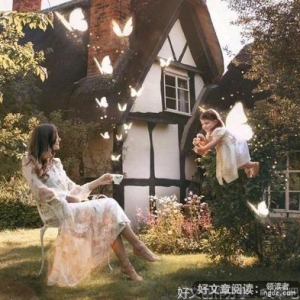 等待一枝花开句子