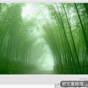 懒句子