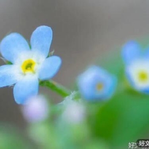 但愿人生皆如意，所念之人都幸福