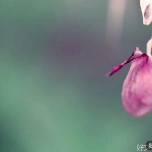 优秀的人，都懂得自愈