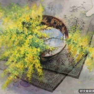 守一份心净，淡然过生活