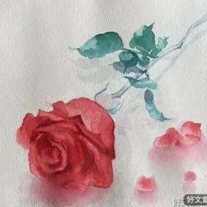 当你感到烦恼时，想想这4句话