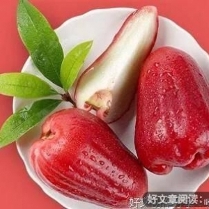 片鳞半爪经典的句子
