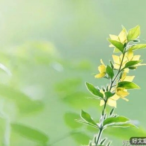 短短十言，说透人生（终生受益）