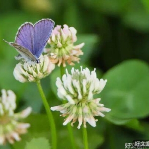 人到中年，淡定从容