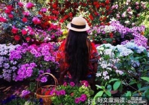 人间好时节经典的句子