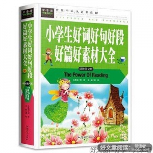 大王的弟弟好词好句