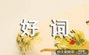 情归何处好词好句