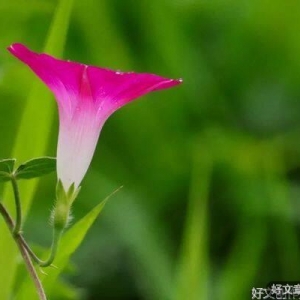 人人生而不同，不要总想改变他人