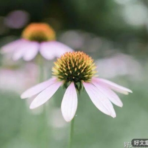 拿起即是放下，舍去便是得到