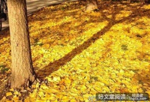 有关伤感句集的句子