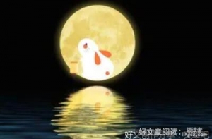 过中秋满分作文